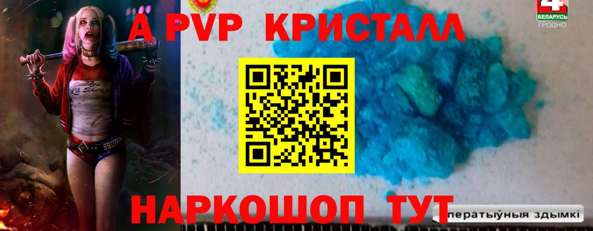 A PVP СК КРИС Вольск
