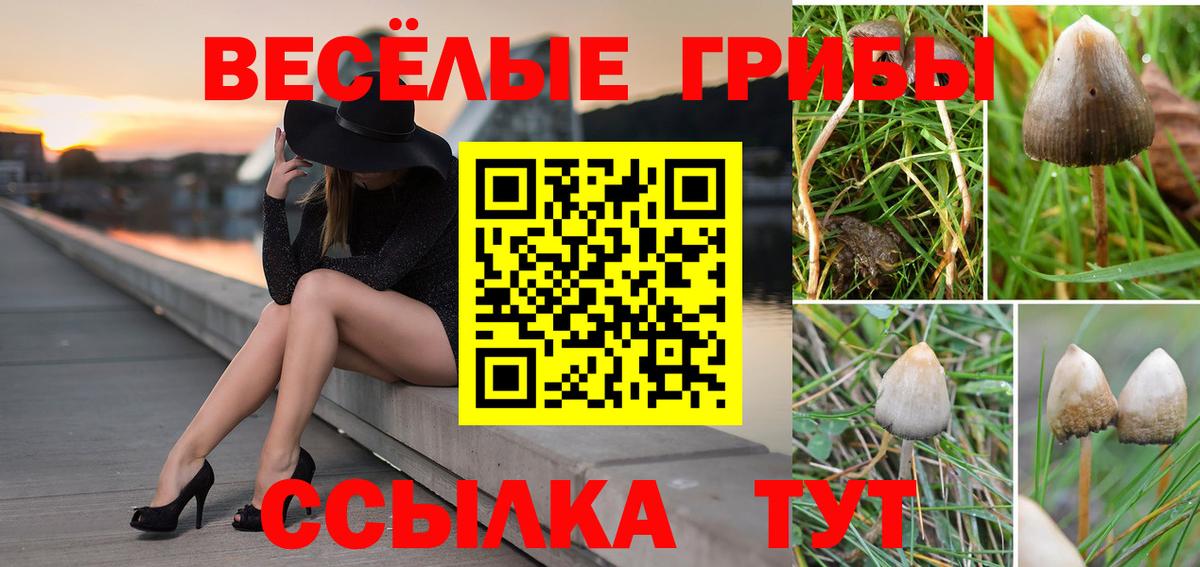 Галлюциногенные грибы Magic Shrooms  Галлюциногенные грибы мухоморы  Вход с VPN  Вольск 