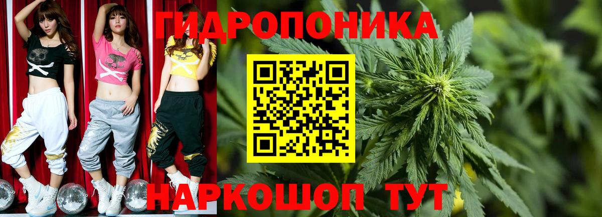Вольск  Шишки марихуана план  Вход с VPN  Канабис конопля 